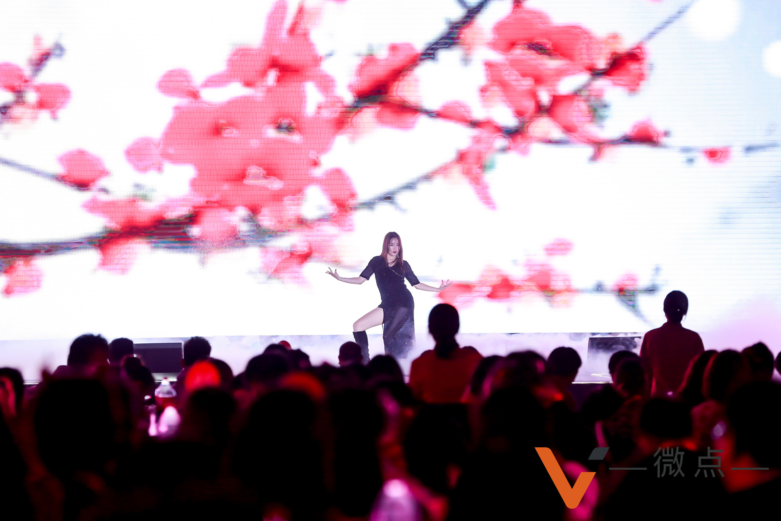 微點(diǎn)網(wǎng)絡(luò)公司年會性感熱舞表演